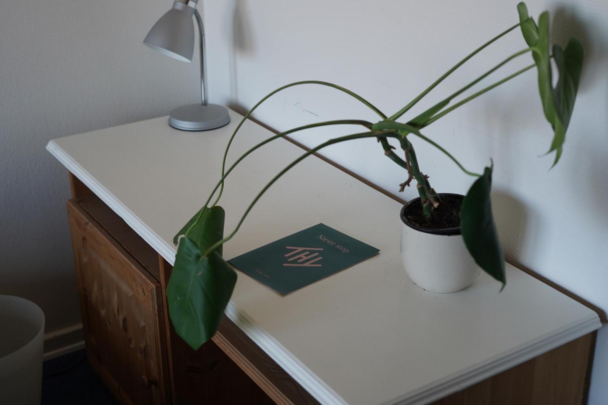 Apartament Thypisk Overnatning Nørre Vorupør Zewnętrze zdjęcie